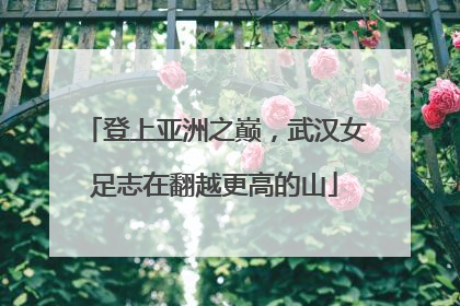 登上亚洲之巅，武汉女足志在翻越更高的山