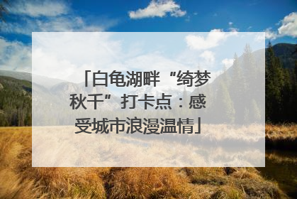 白龟湖畔“绮梦秋千”打卡点：感受城市浪漫温情