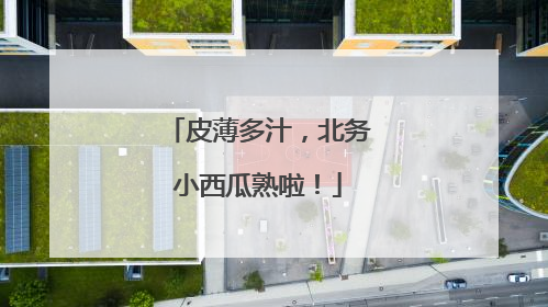 皮薄多汁，北务小西瓜熟啦！