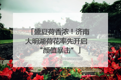 盛夏荷香浓！济南大明湖荷花率先开启“颜值暴击”