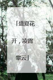 盛夏花开，凌霄攀云