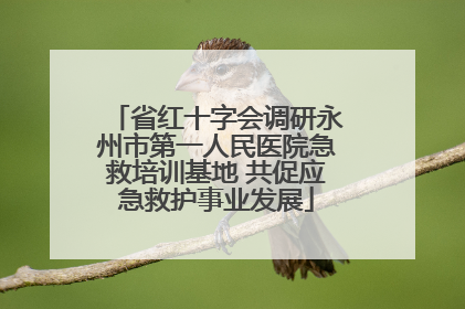 省红十字会调研永州市第一人民医院急救培训基地 共促应急救护事业发展