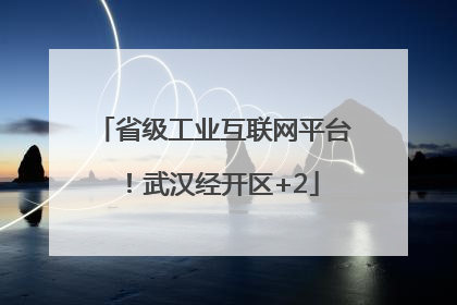 省级工业互联网平台！武汉经开区+2
