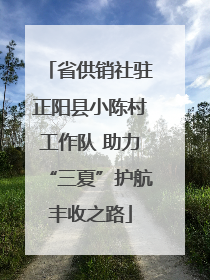 省供销社驻正阳县小陈村工作队 助力“三夏”护航丰收之路