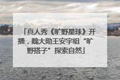 真人秀《旷野星球》开播，魏大勋王安宇组“旷野搭子”探索自然