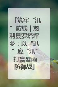 筑牢“汛”防线｜慈利县罗塔坪乡：以“迅”应“汛” 打赢暴雨防御战