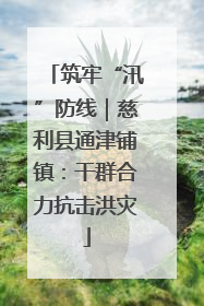 筑牢“汛”防线｜慈利县通津铺镇：干群合力抗击洪灾