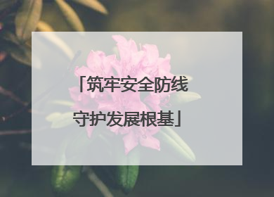 筑牢安全防线 守护发展根基