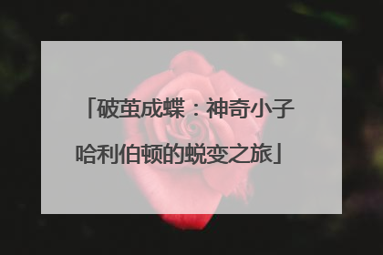 破茧成蝶：神奇小子哈利伯顿的蜕变之旅