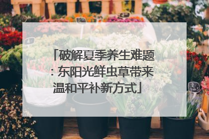 破解夏季养生难题：东阳光鲜虫草带来温和平补新方式