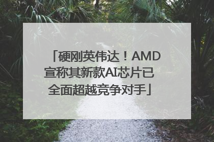 硬刚英伟达！AMD宣称其新款AI芯片已全面超越竞争对手