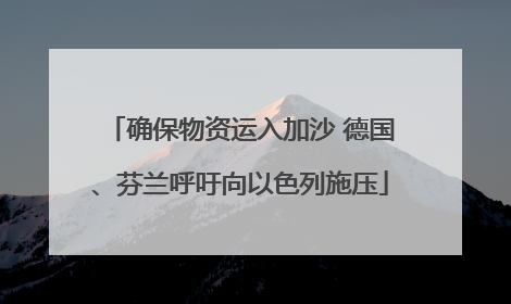 确保物资运入加沙 德国、芬兰呼吁向以色列施压