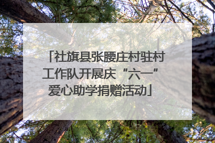 社旗县张腰庄村驻村工作队开展庆“六一”爱心助学捐赠活动
