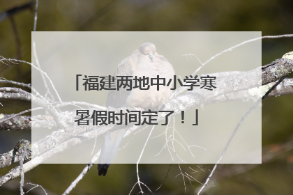 福建两地中小学寒暑假时间定了！