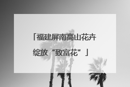 福建屏南高山花卉绽放“致富花”