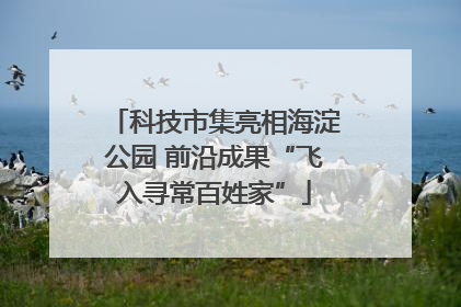 科技市集亮相海淀公园 前沿成果“飞入寻常百姓家”