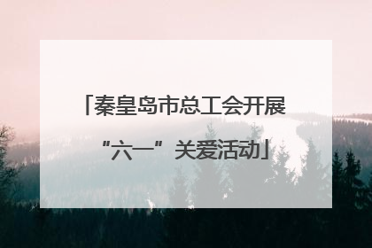 秦皇岛市总工会开展“六一”关爱活动