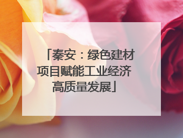 秦安：绿色建材项目赋能工业经济高质量发展