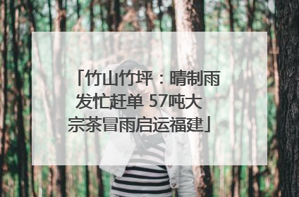 竹山竹坪：晴制雨发忙赶单 57吨大宗茶冒雨启运福建