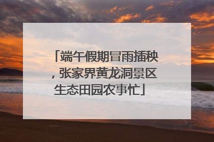 端午假期冒雨插秧，张家界黄龙洞景区生态田园农事忙