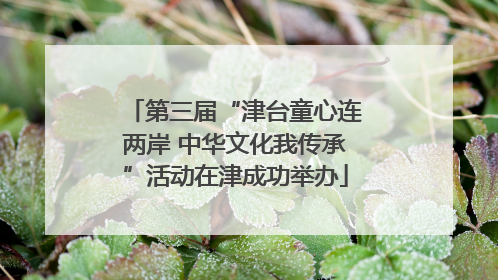 第三届“津台童心连两岸 中华文化我传承”活动在津成功举办