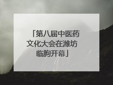 第八届中医药文化大会在潍坊临朐开幕