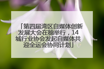 第四届湾区自媒体创新发展大会在穗举行，14城行业协会发起自媒体共迎全运会协同计划