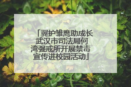 翼护雏鹰助成长 武汉市司法局何湾强戒所开展禁毒宣传进校园活动