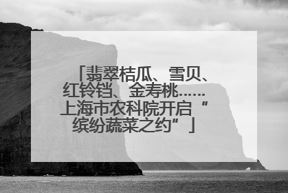 翡翠桔瓜、雪贝、红铃铛、金寿桃……上海市农科院开启“缤纷蔬菜之约”