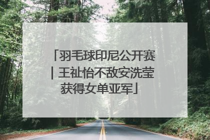 羽毛球印尼公开赛｜王祉怡不敌安洗莹 获得女单亚军