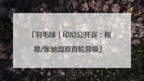 羽毛球｜印尼公开赛：程星/张驰混双首轮晋级