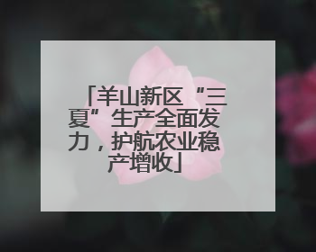 羊山新区“三夏”生产全面发力，护航农业稳产增收