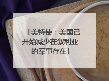 美特使：美国已开始减少在叙利亚的军事存在