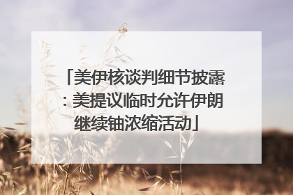 美伊核谈判细节披露：美提议临时允许伊朗继续铀浓缩活动