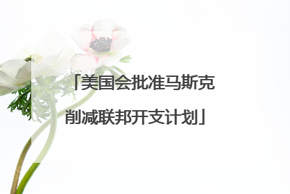 美国会批准马斯克削减联邦开支计划