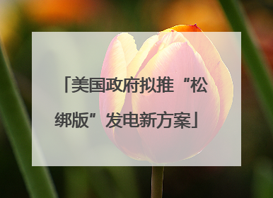 美国政府拟推“松绑版”发电新方案