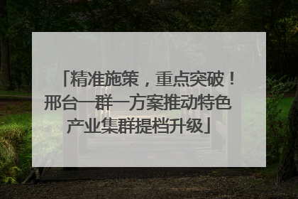 精准施策，重点突破！邢台一群一方案推动特色产业集群提档升级