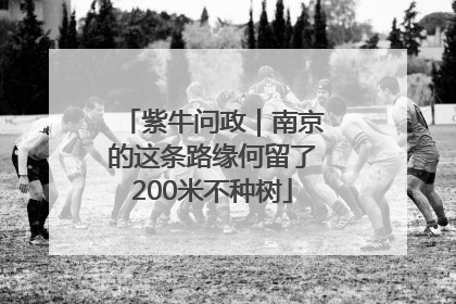 紫牛问政｜南京的这条路缘何留了200米不种树