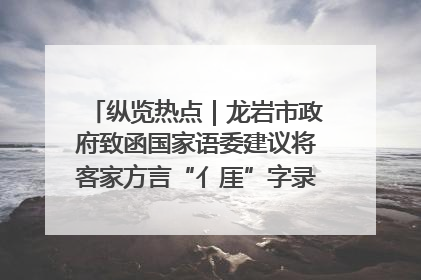 纵览热点｜龙岩市政府致函国家语委建议将客家方言“亻厓”字录入《新华字典》引发热议，当地回应