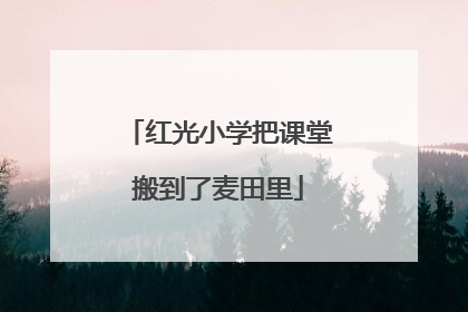 红光小学把课堂搬到了麦田里