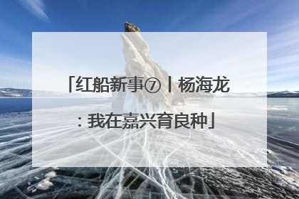 红船新事⑦丨杨海龙：我在嘉兴育良种