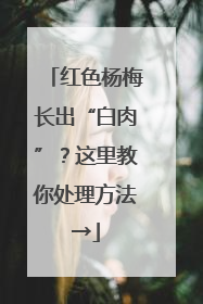红色杨梅长出“白肉”？这里教你处理方法→