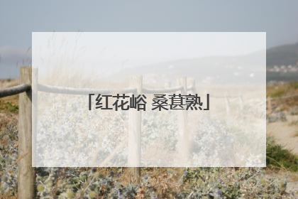 红花峪 桑葚熟