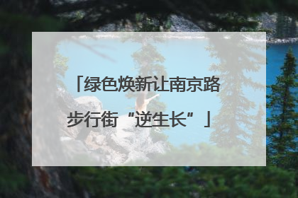 绿色焕新让南京路步行街“逆生长”