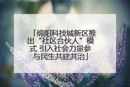 绵阳科技城新区推出“社区合伙人”模式 引入社会力量参与民生共建共治