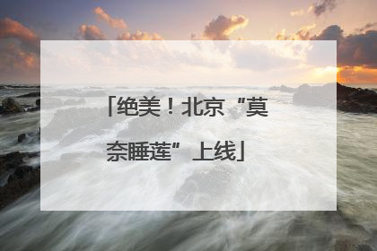 绝美！北京“莫奈睡莲”上线