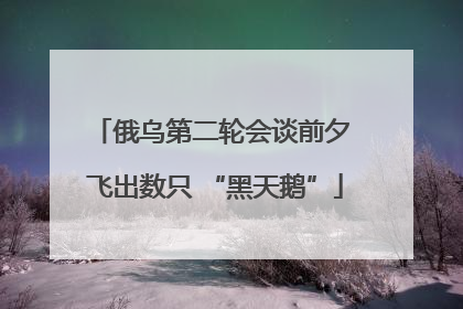 俄乌第二轮会谈前夕 飞出数只 “黑天鹅”