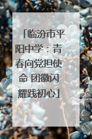 临汾市平阳中学：青春向党担使命 团徽闪耀践初心