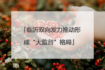 临沂双向发力推动形成“大监督”格局
