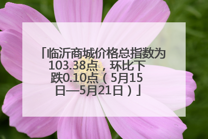 临沂商城价格总指数为103.38点，环比下跌0.10点（5月15日—5月21日）